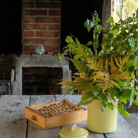 Saimaan Kultaranta Villa Puumala