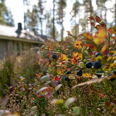 Saimaan Kultaranta Villa