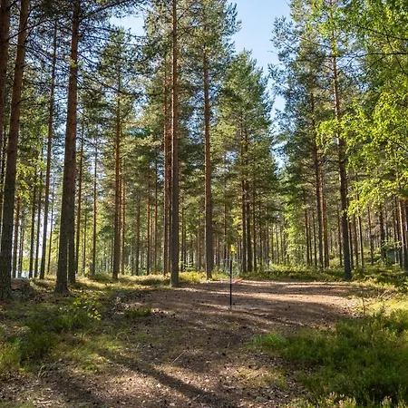 Saimaan Kultaranta Willa Puumala