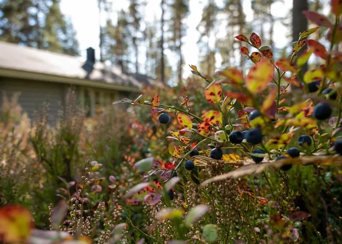 Saimaan Kultaranta Villa