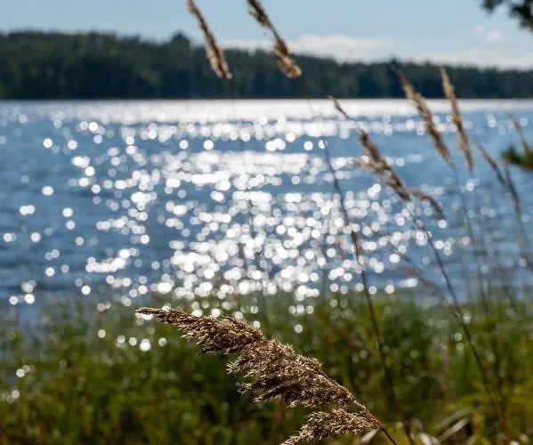 Saimaan Kultaranta Villa Puumala